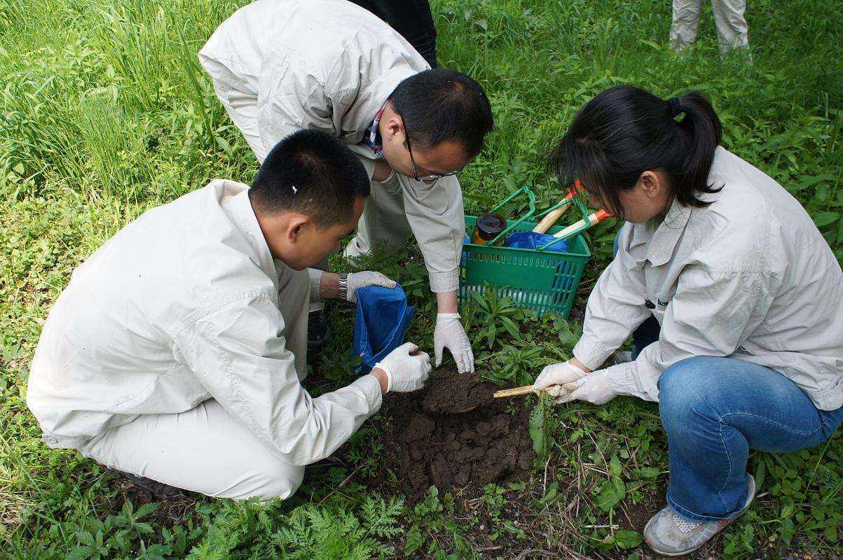 華清環境土壤檢測項目