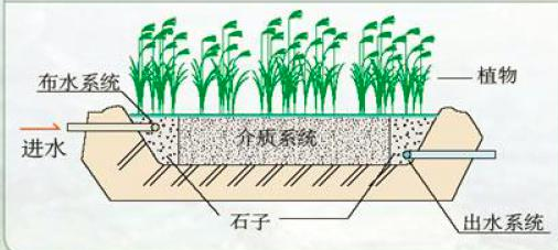 水平潛流人工濕地污水處理